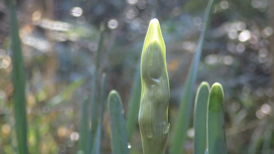 e0024081_14471486.jpg