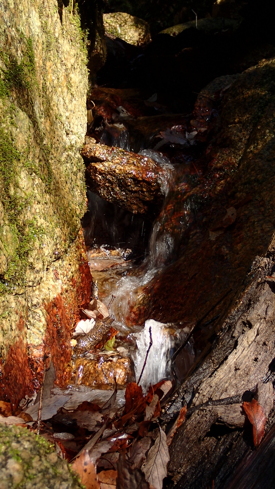 e0024081_1447511.jpg