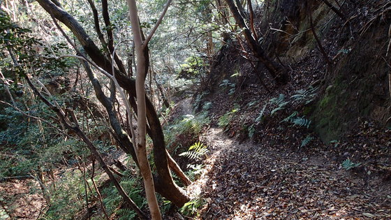 e0024081_14482168.jpg