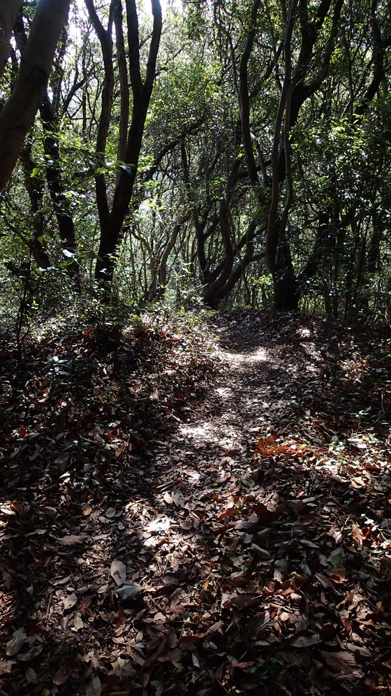 e0024081_14485983.jpg