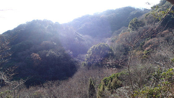 e0024081_14493764.jpg