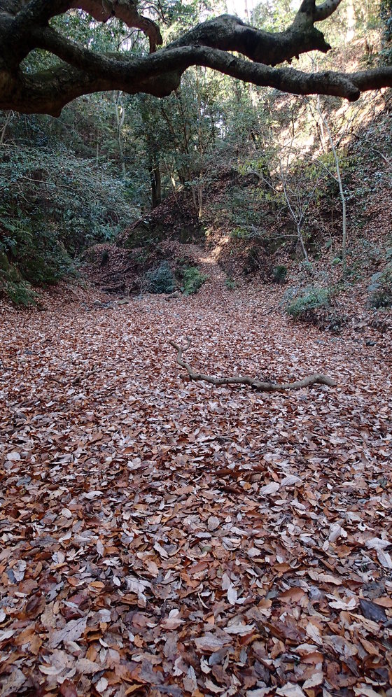 e0024081_14503683.jpg