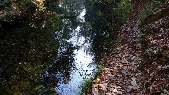 e0024081_1450493.jpg