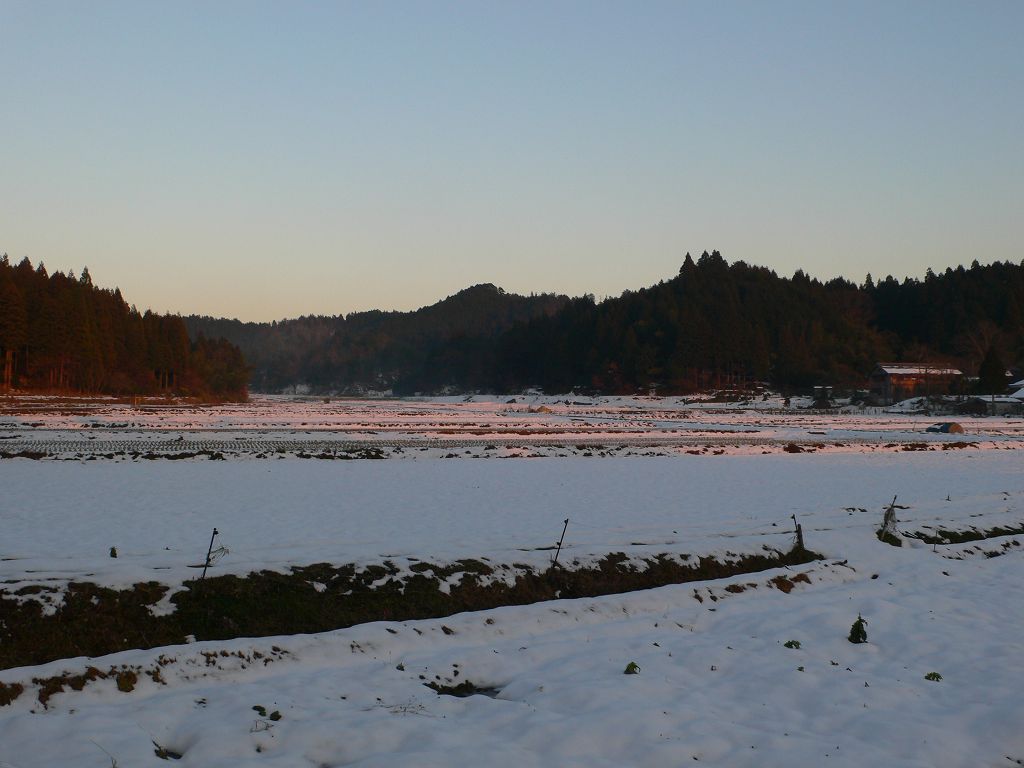 b0042882_14482452.jpg