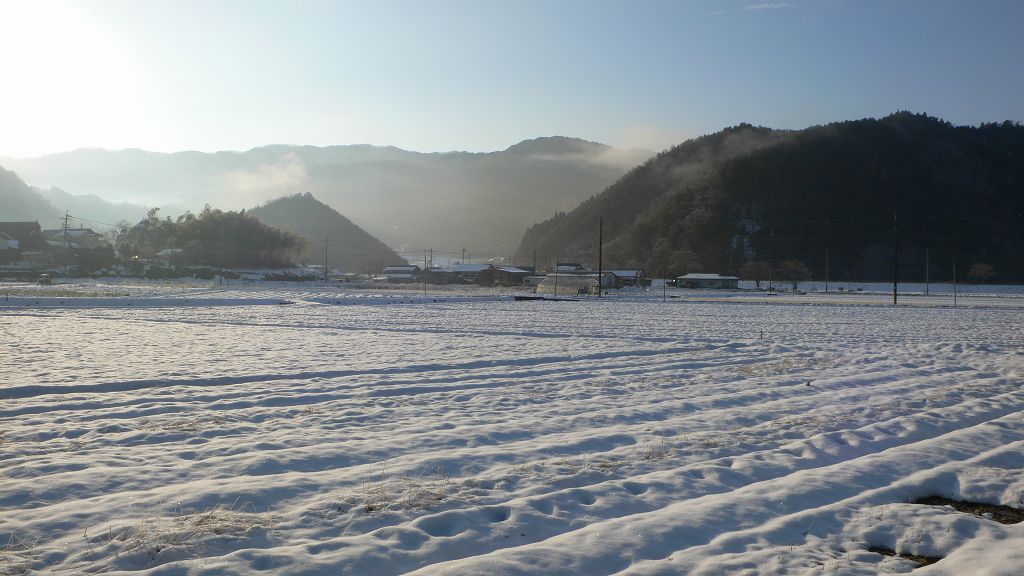 b0042882_151397.jpg