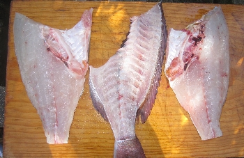 f0003283_12535169.jpg