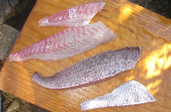 f0003283_12551934.jpg