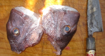 f0003283_1258197.jpg
