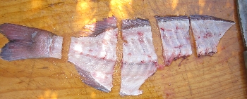 f0003283_1258275.jpg