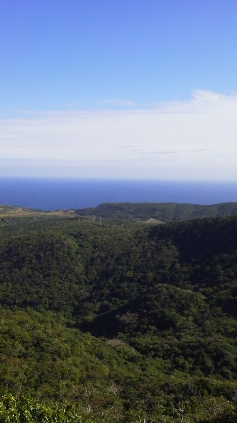 d0034291_1955351.jpg