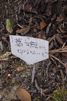 f0222692_13125644.jpg