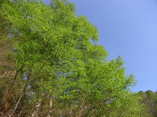f0187402_20341597.jpg