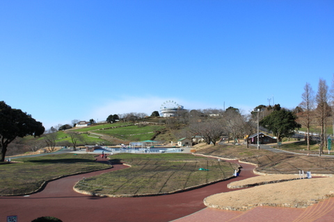 a0284809_1842979.jpg