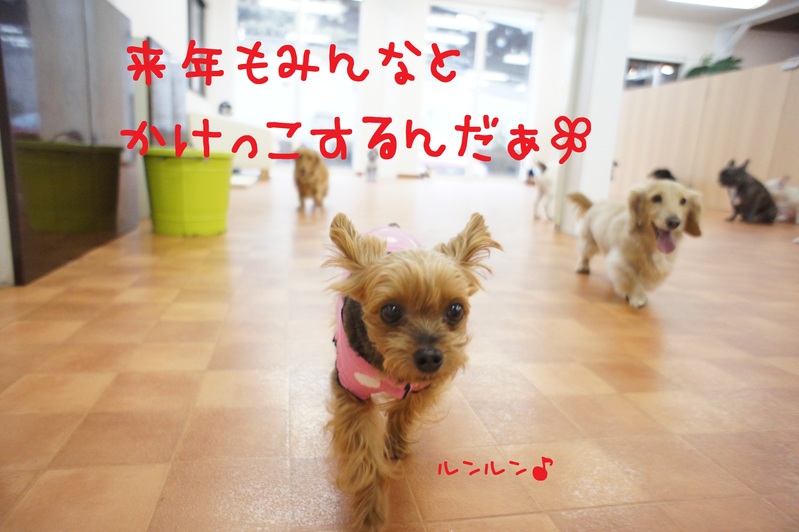 d0220513_2128047.jpg