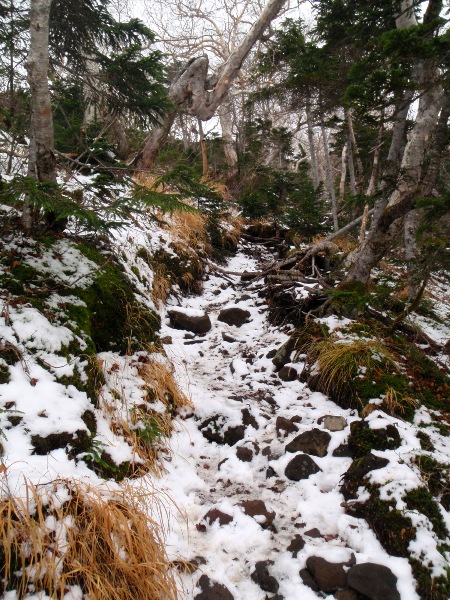 c0177814_22111485.jpg