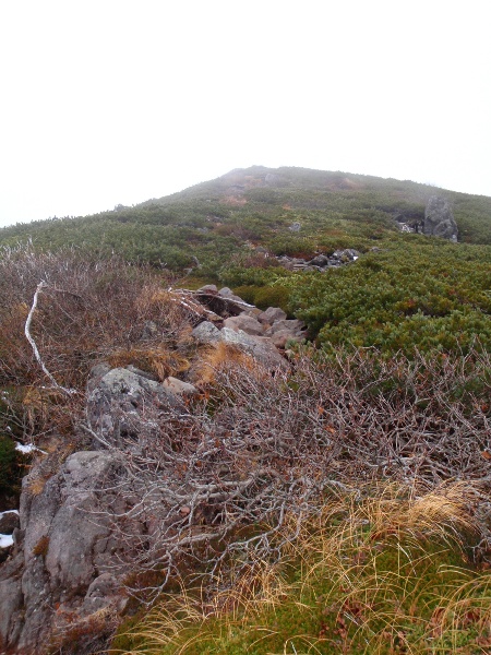 c0177814_22142196.jpg