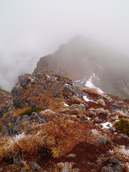 c0177814_22191164.jpg