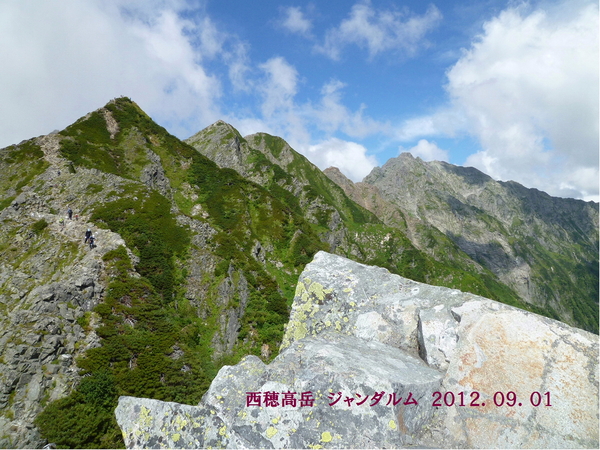 d0170615_803986.jpg