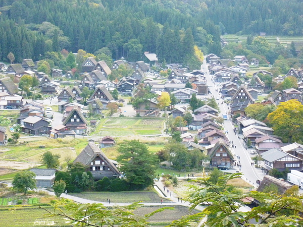 d0170615_82389.jpg