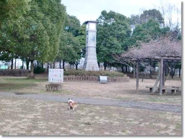 f0182121_1341175.jpg
