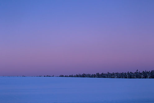 e0025030_8253197.jpg