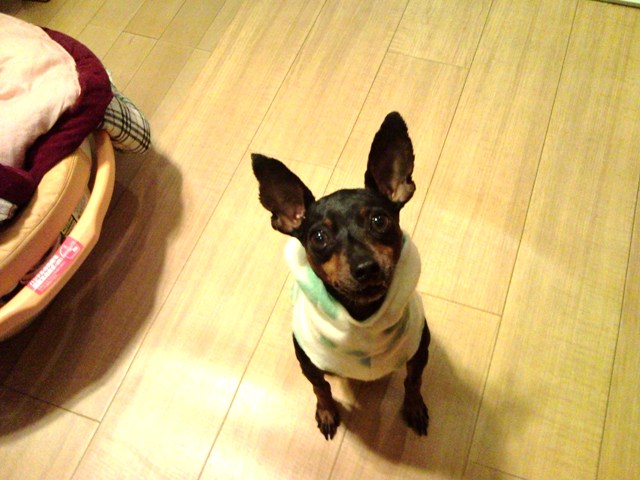 e0150843_2141789.jpg