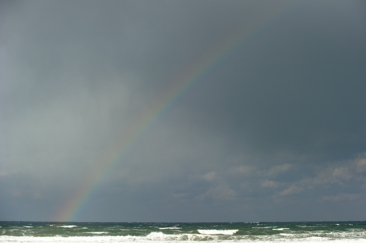 b0023047_4555916.jpg