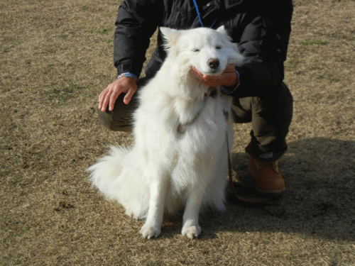 a0269552_120247.gif