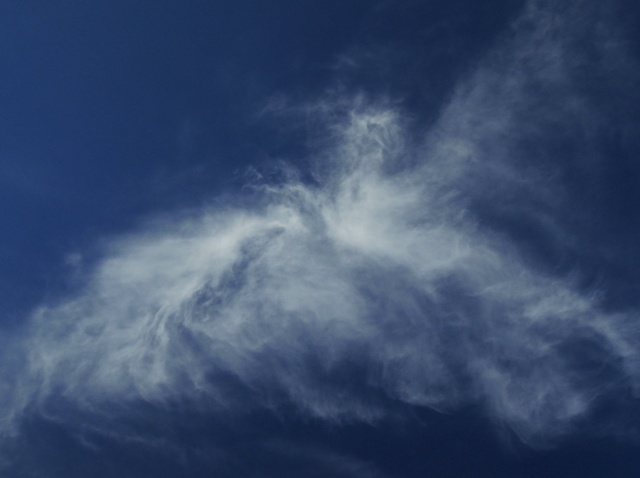 b0173754_14213593.jpg