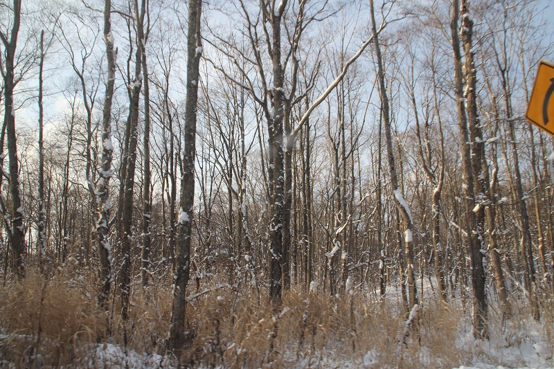 b0250154_2334161.jpg
