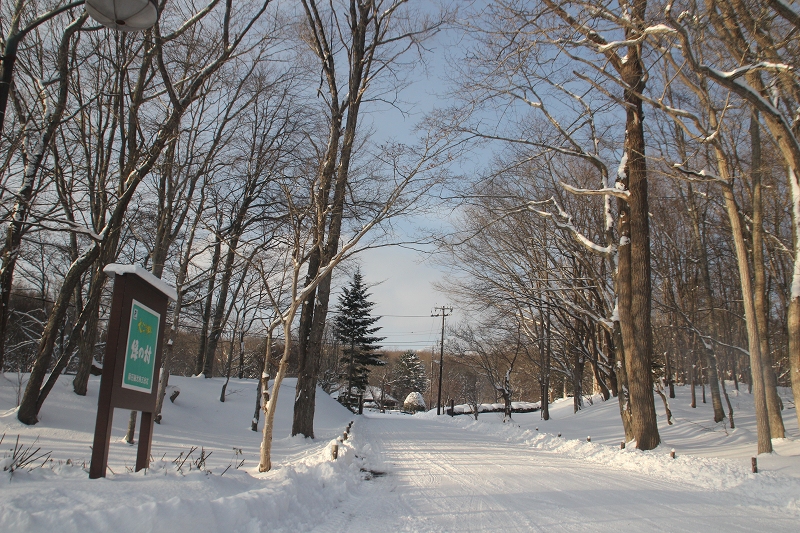 b0250154_23341830.jpg