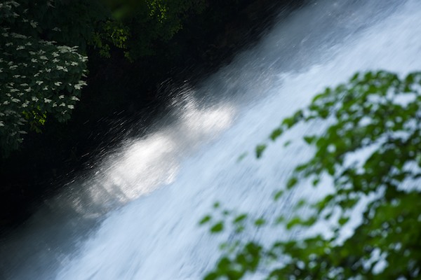 e0122855_2230576.jpg