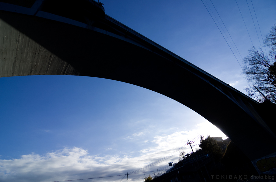 d0100156_123741.jpg
