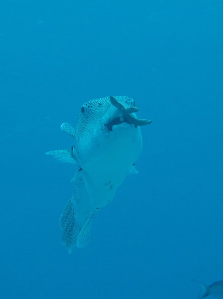 b0062363_17243490.jpg