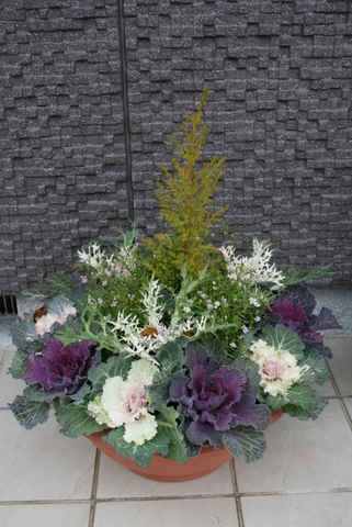 c0248269_14173167.jpg