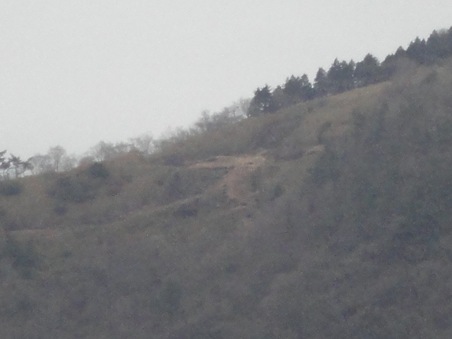 d0109373_0323132.jpg