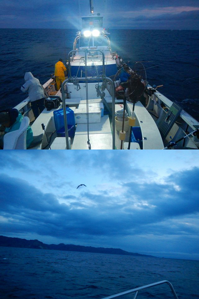 c0176183_2052915.jpg