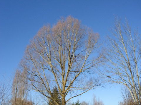 a0247585_1033510.jpg