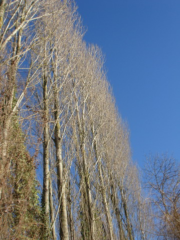 a0247585_10373658.jpg