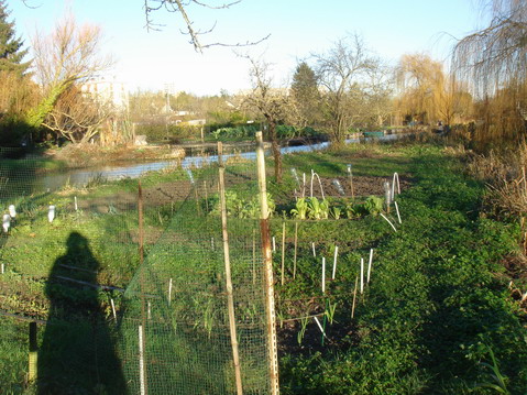 a0247585_9235334.jpg