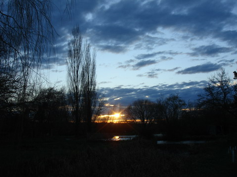 a0247585_9394745.jpg