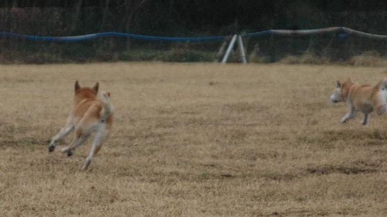 c0123890_20151779.jpg