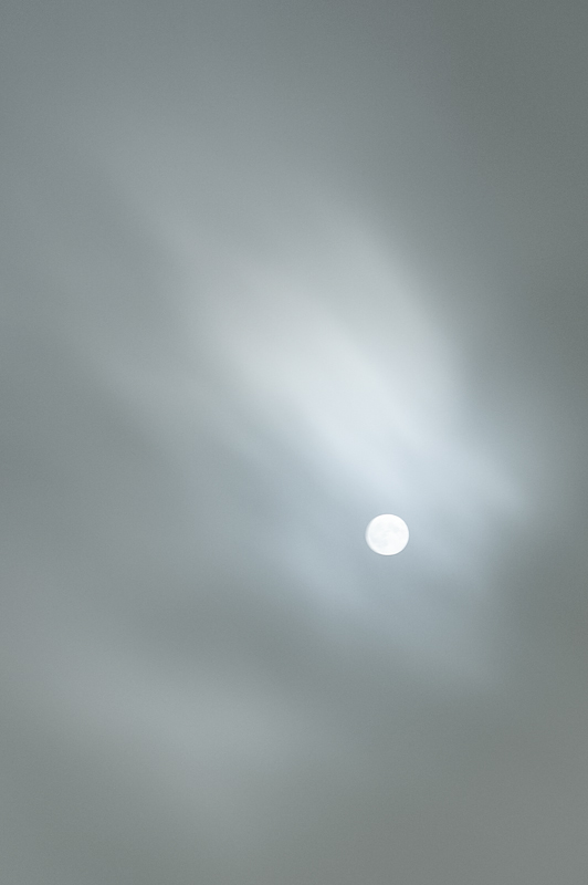 a0185693_5153311.jpg