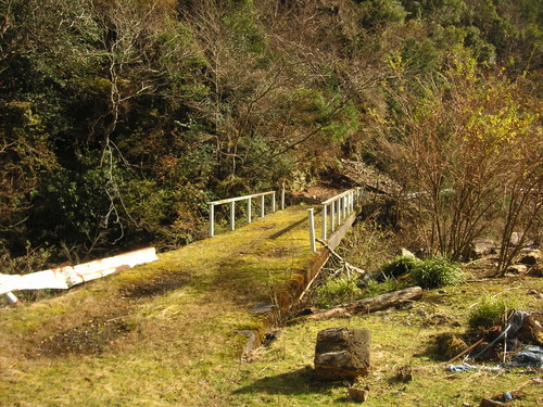 d0115997_14125035.jpg