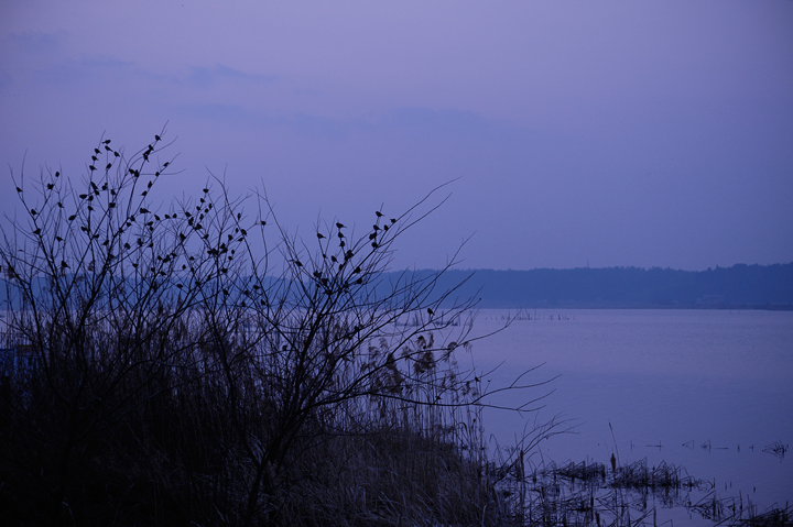 b0286898_034299.jpg