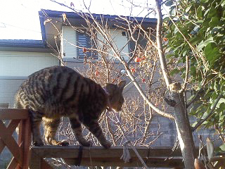 f0239100_1185847.jpg