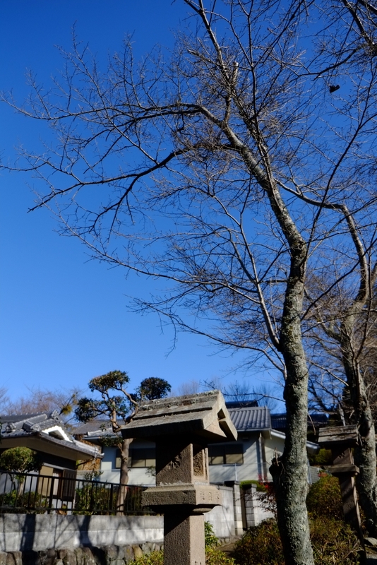 b0138101_4233330.jpg