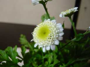 f0221708_23532556.jpg
