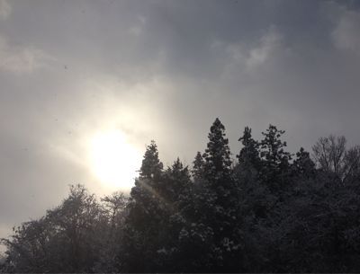 f0014209_10103079.jpg