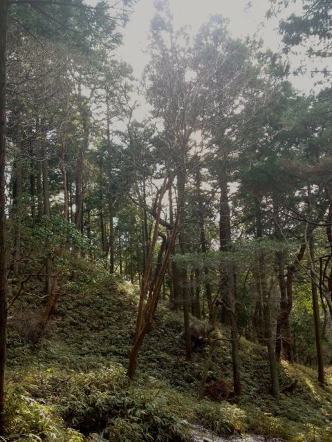 b0183911_2262895.jpg